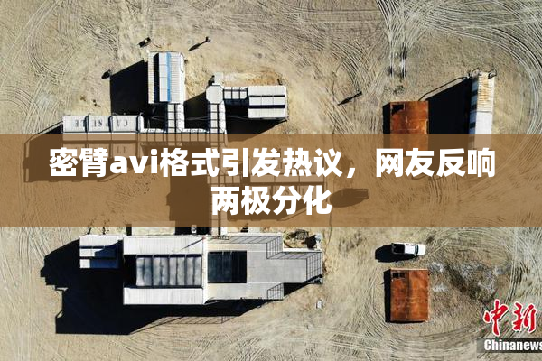 密臂avi格式引发热议，网友反响两极分化