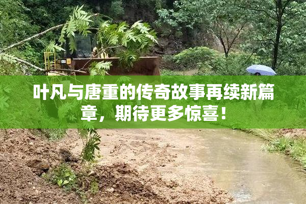 叶凡与唐重的传奇故事再续新篇章，期待更多惊喜！