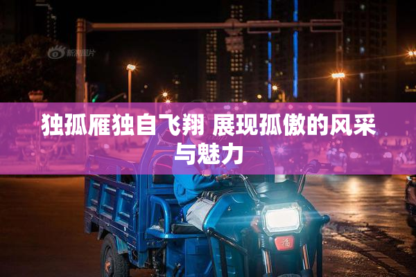 独孤雁独自飞翔 展现孤傲的风采与魅力