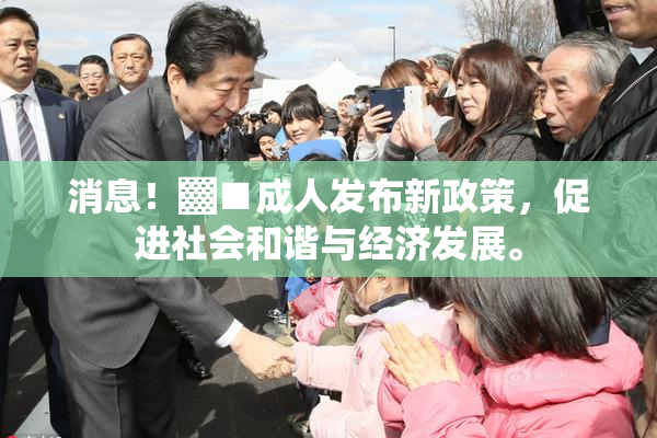 消息！▓■成人发布新政策，促进社会和谐与经济发展。