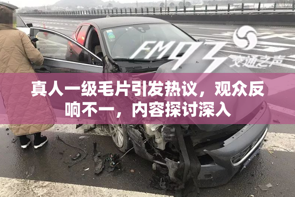 真人一级毛片引发热议，观众反响不一，内容探讨深入