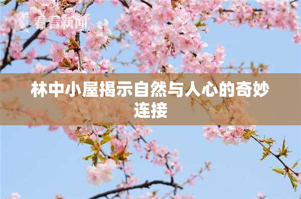 林中小屋揭示自然与人心的奇妙连接