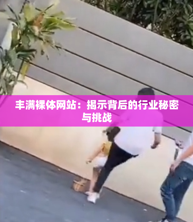 丰满裸体网站：揭示背后的行业秘密与挑战