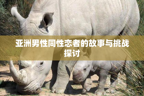 亚洲男性同性恋者的故事与挑战探讨