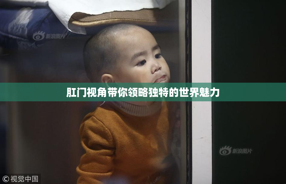 肛门视角带你领略独特的世界魅力