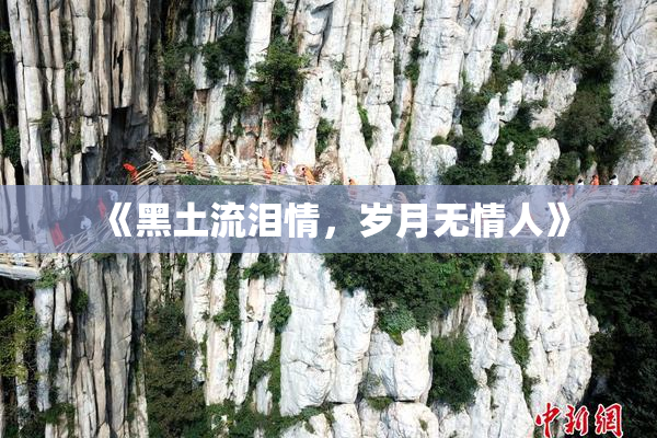 《黑土流泪情，岁月无情人》