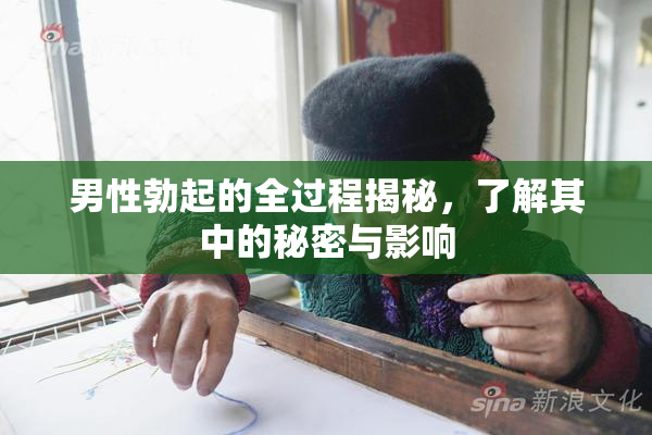 男性勃起的全过程揭秘，了解其中的秘密与影响