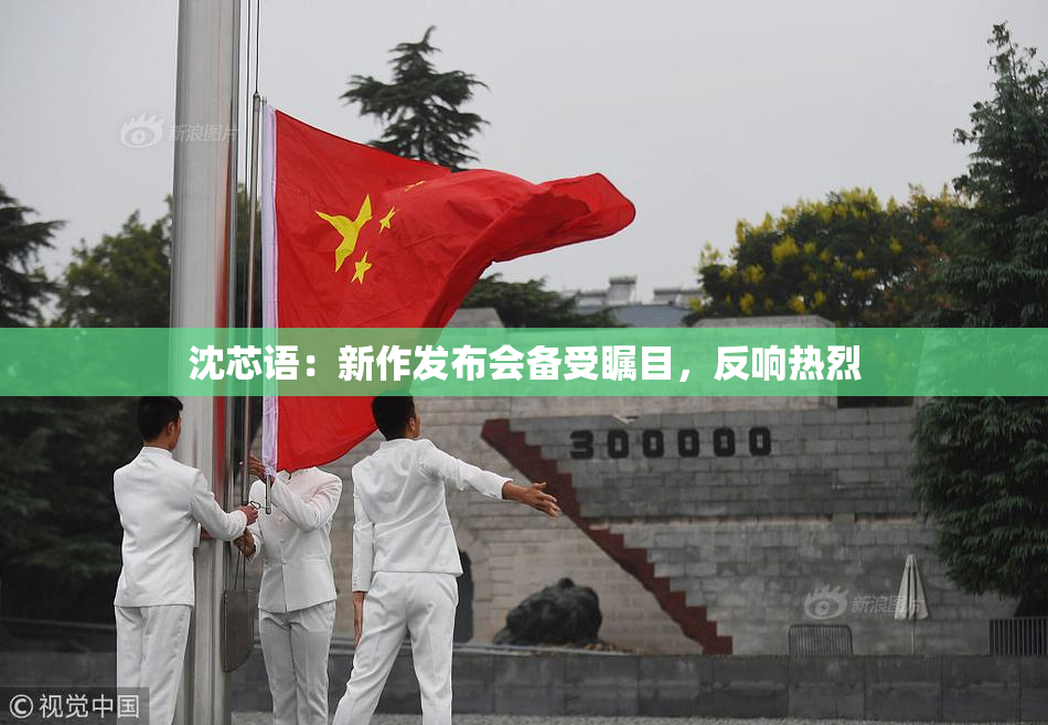 沈芯语：新作发布会备受瞩目，反响热烈