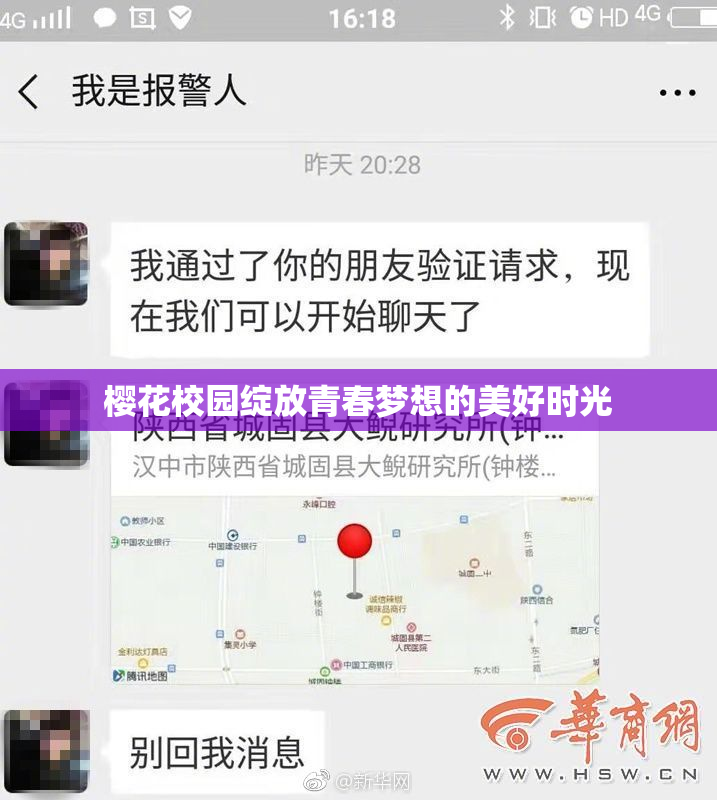 樱花校园绽放青春梦想的美好时光
