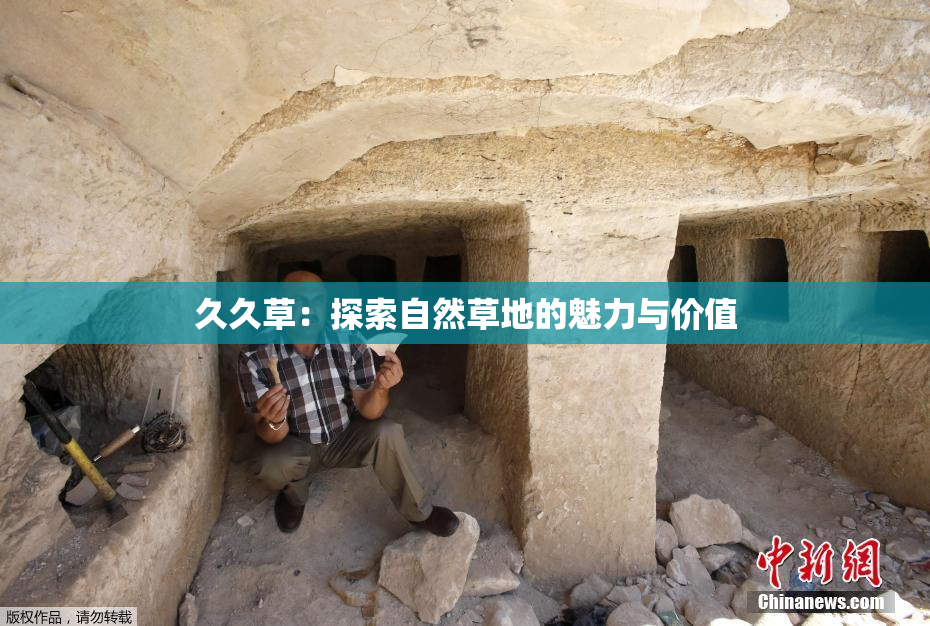 久久草：探索自然草地的魅力与价值