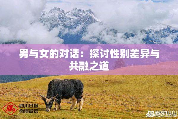 男与女的对话：探讨性别差异与共融之道