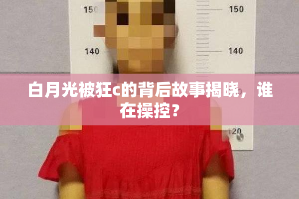 白月光被狂c的背后故事揭晓，谁在操控？