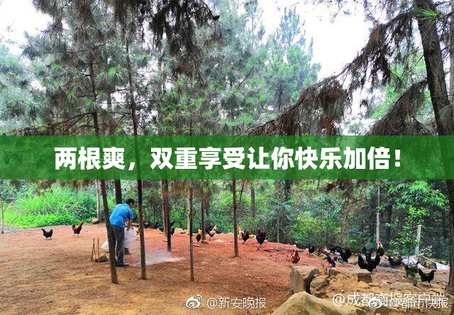 两根爽，双重享受让你快乐加倍！
