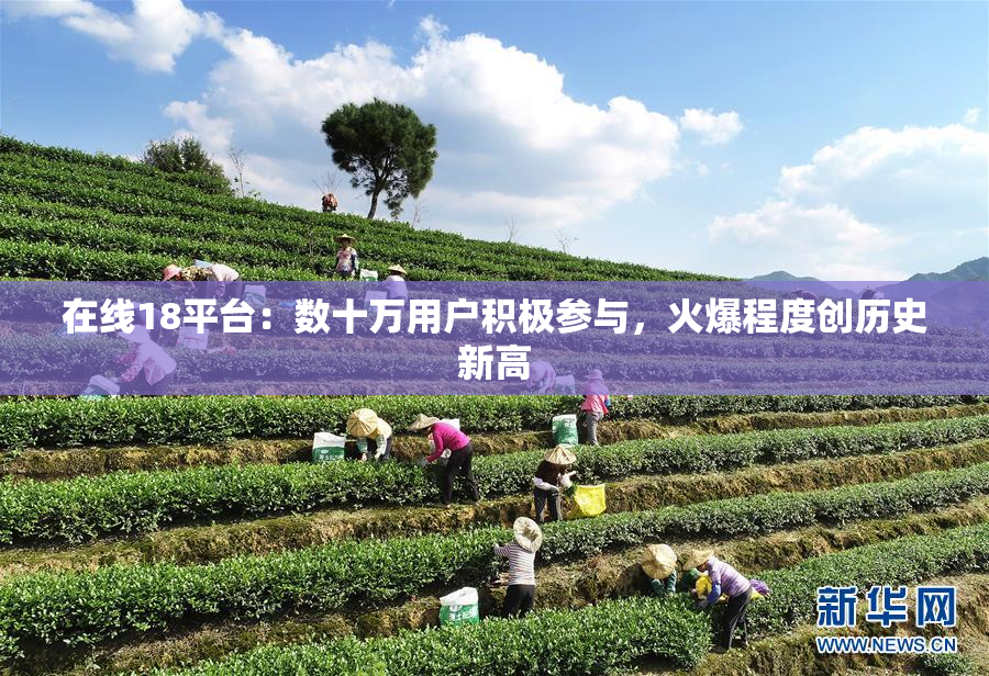 在线18平台：数十万用户积极参与，火爆程度创历史新高