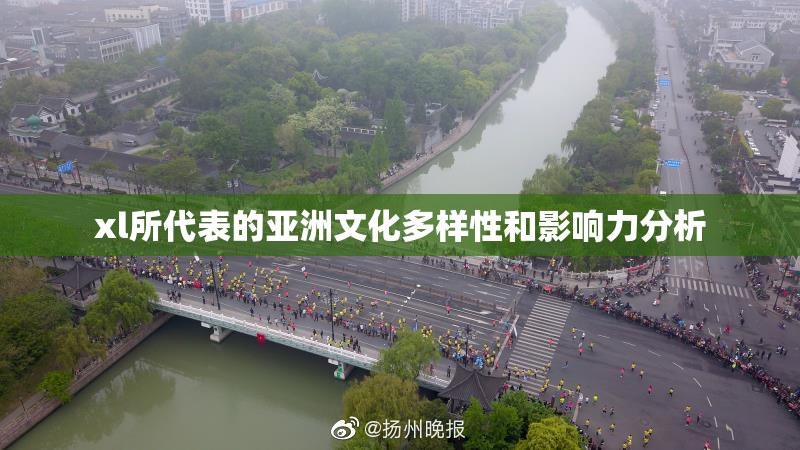 xl所代表的亚洲文化多样性和影响力分析