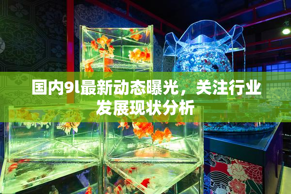 国内9l最新动态曝光，关注行业发展现状分析