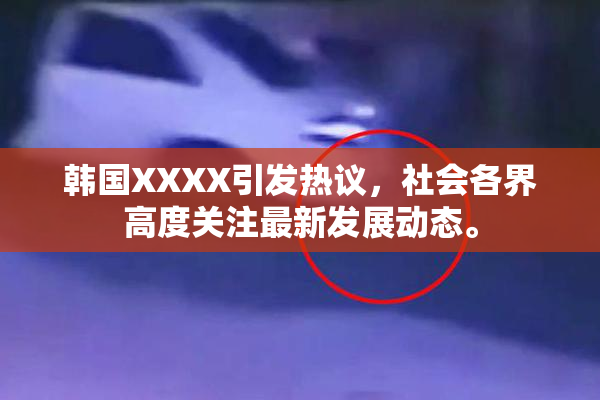 韩国XXXX引发热议，社会各界高度关注最新发展动态。