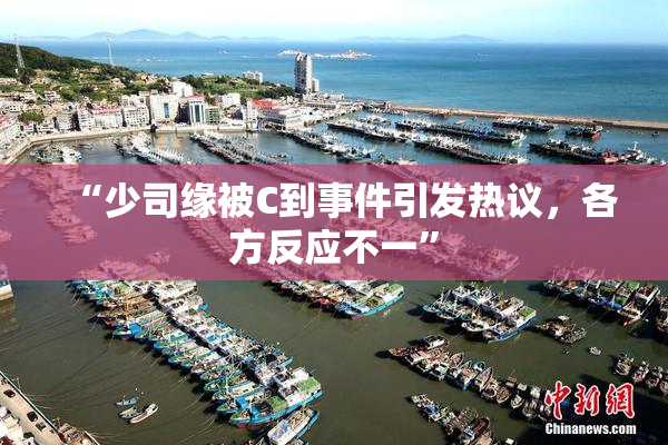 “少司缘被C到事件引发热议，各方反应不一”