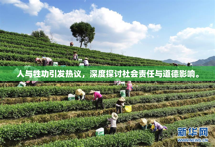 人与牲功引发热议，深度探讨社会责任与道德影响。