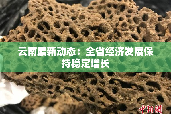 云南最新动态：全省经济发展保持稳定增长