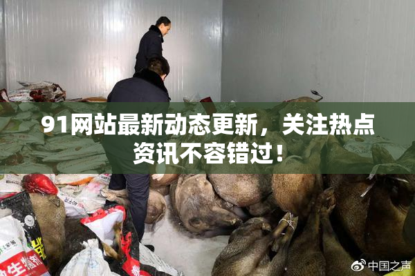91网站最新动态更新，关注热点资讯不容错过！