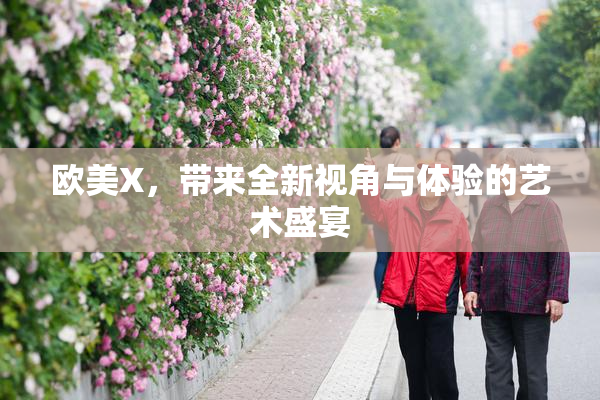 欧美X，带来全新视角与体验的艺术盛宴
