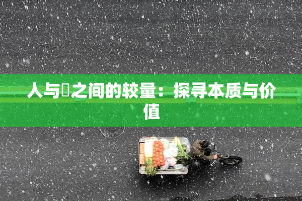 人与嘼之间的较量：探寻本质与价值