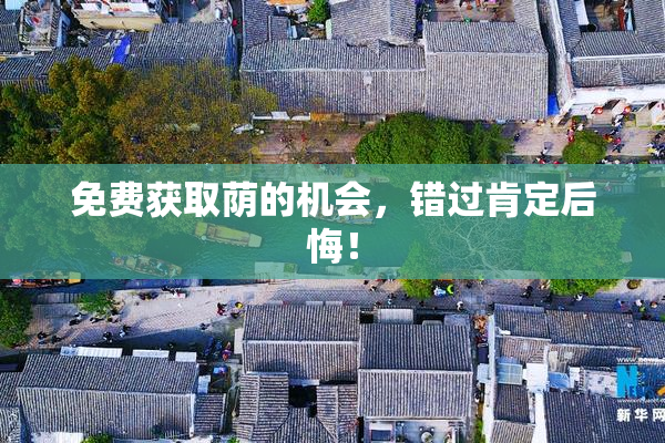 免费获取荫的机会，错过肯定后悔！