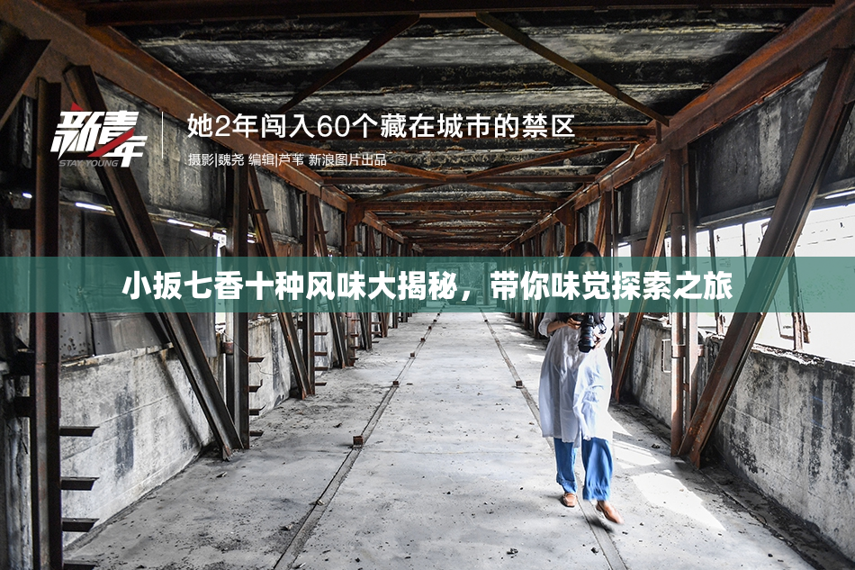小扳七香十种风味大揭秘，带你味觉探索之旅