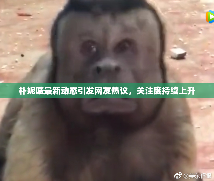 朴妮唛最新动态引发网友热议，关注度持续上升