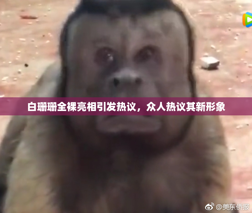白珊珊全裸亮相引发热议，众人热议其新形象
