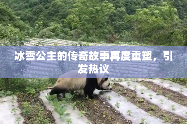 冰雪公主的传奇故事再度重塑，引发热议