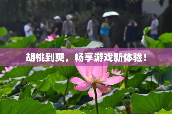 胡桃到爽，畅享游戏新体验！