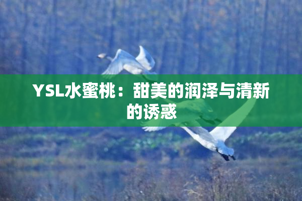 YSL水蜜桃：甜美的润泽与清新的诱惑
