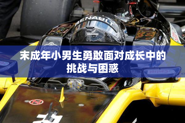 末成年小男生勇敢面对成长中的挑战与困惑