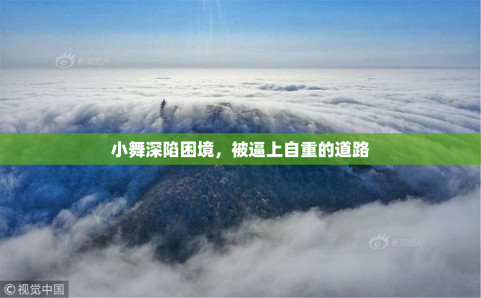 小舞深陷困境，被逼上自重的道路