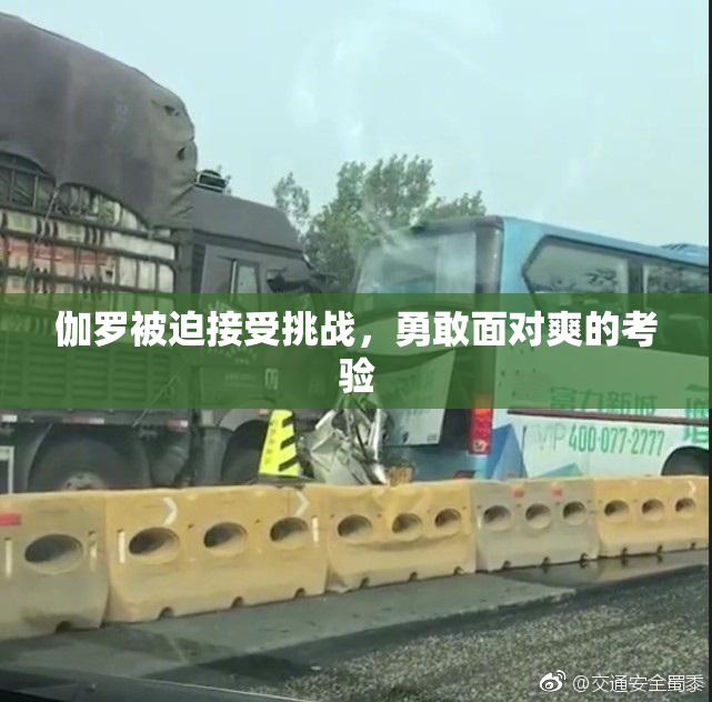 伽罗被迫接受挑战，勇敢面对爽的考验