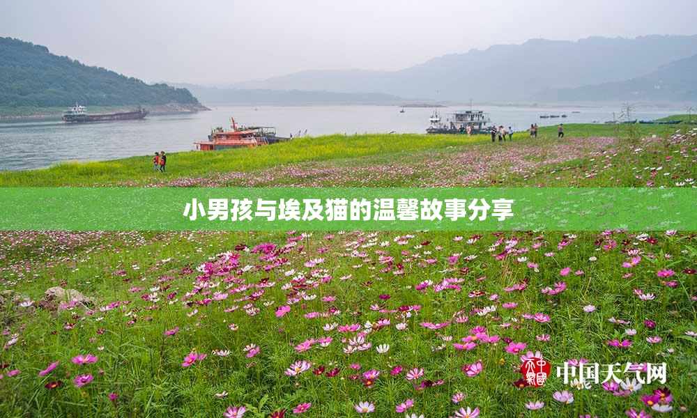 小男孩与埃及猫的温馨故事分享