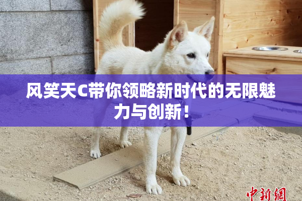 风笑天C带你领略新时代的无限魅力与创新！