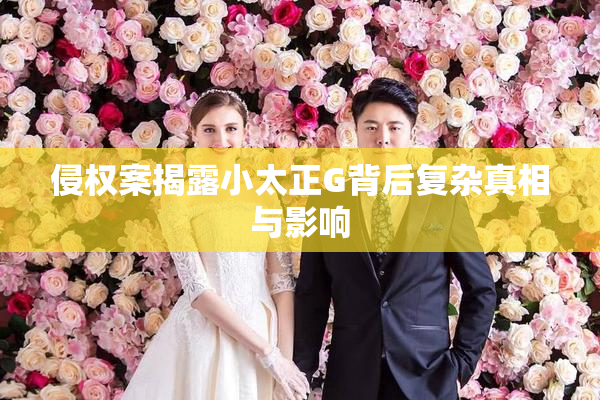 侵权案揭露小太正G背后复杂真相与影响