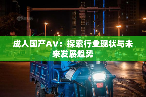 成人国产AV：探索行业现状与未来发展趋势