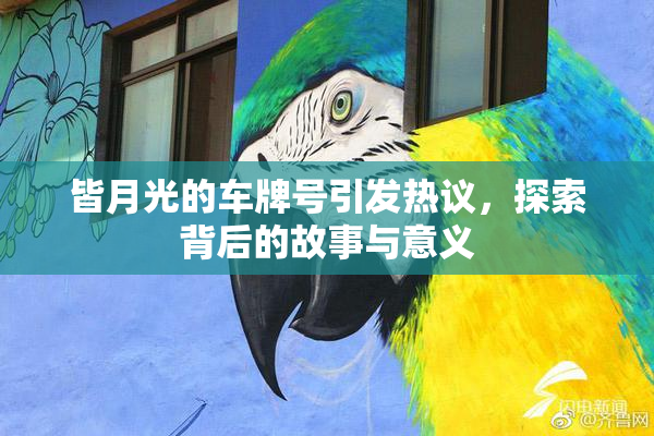 皆月光的车牌号引发热议，探索背后的故事与意义