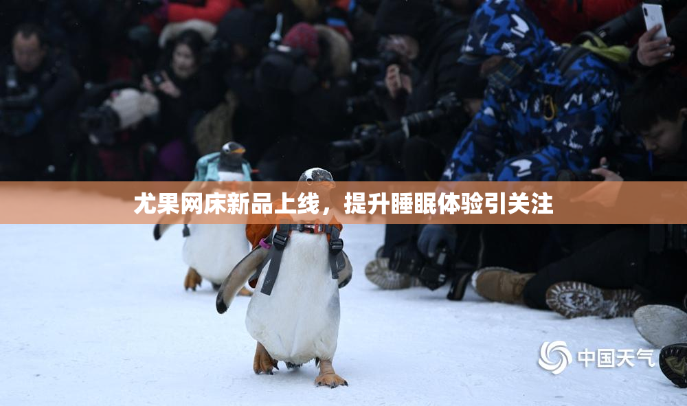 尤果网床新品上线，提升睡眠体验引关注
