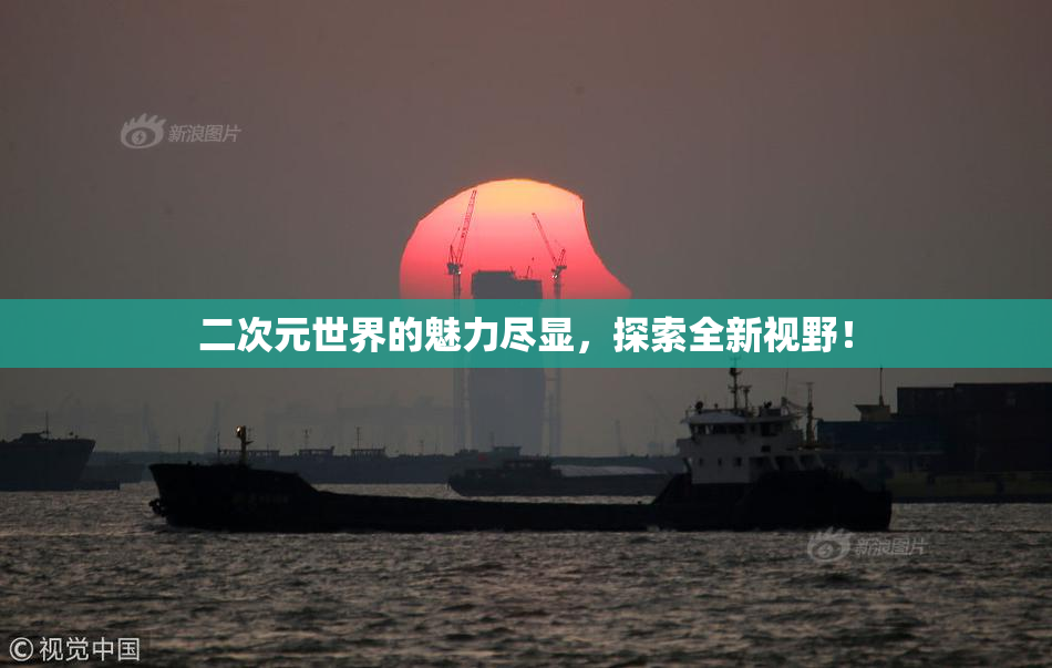 二次元世界的魅力尽显，探索全新视野！