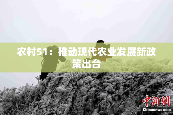 农村51：推动现代农业发展新政策出台