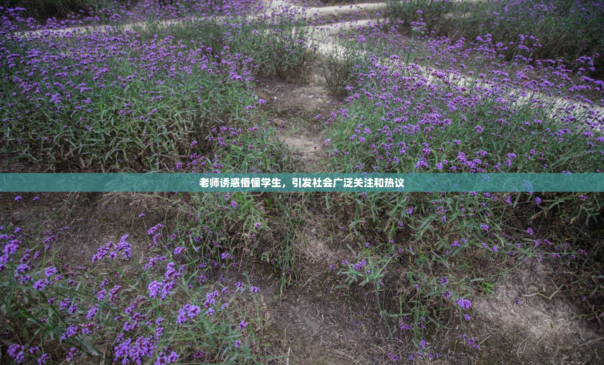 老师诱惑懵懂学生，引发社会广泛关注和热议