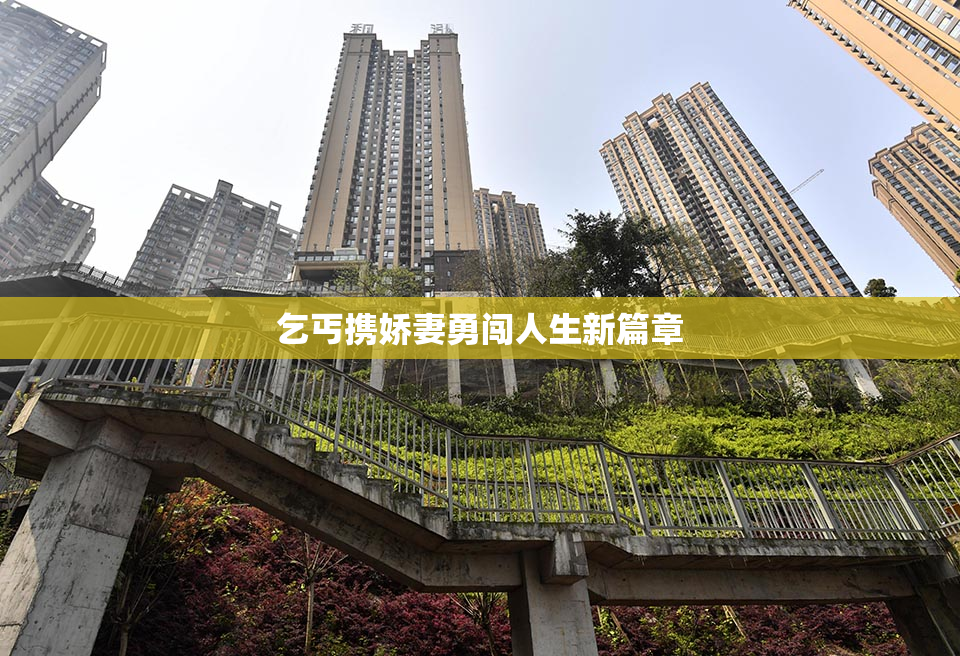 乞丐携娇妻勇闯人生新篇章