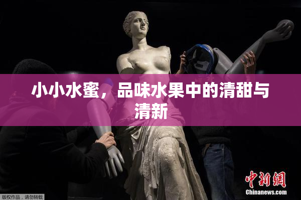小小水蜜，品味水果中的清甜与清新