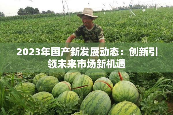 2023年国产新发展动态：创新引领未来市场新机遇