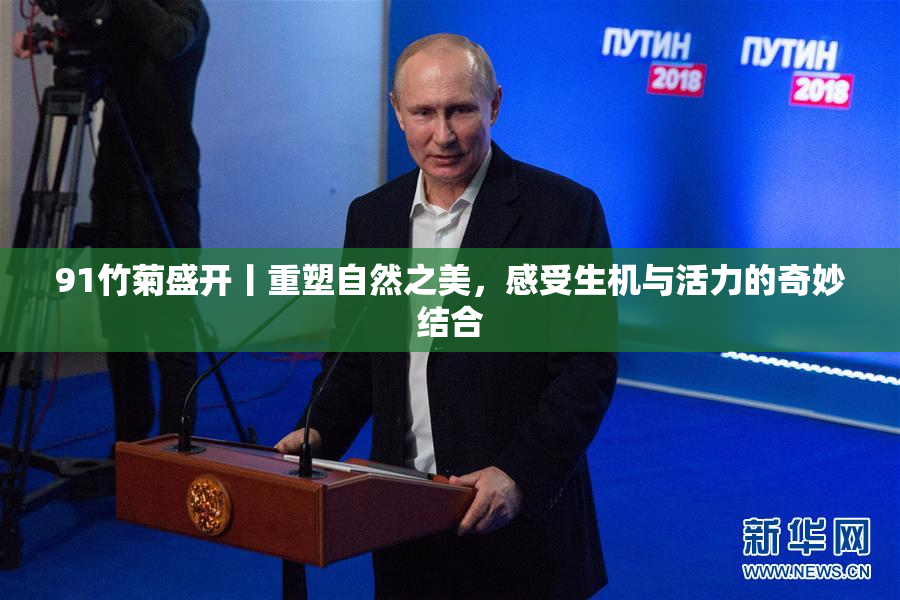 91竹菊盛开丨重塑自然之美，感受生机与活力的奇妙结合